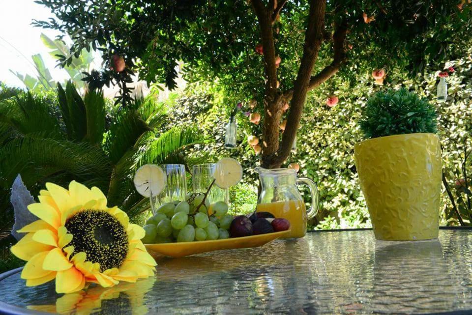 Profumo Di Mare B&B Gallipoli Eksteriør bilde