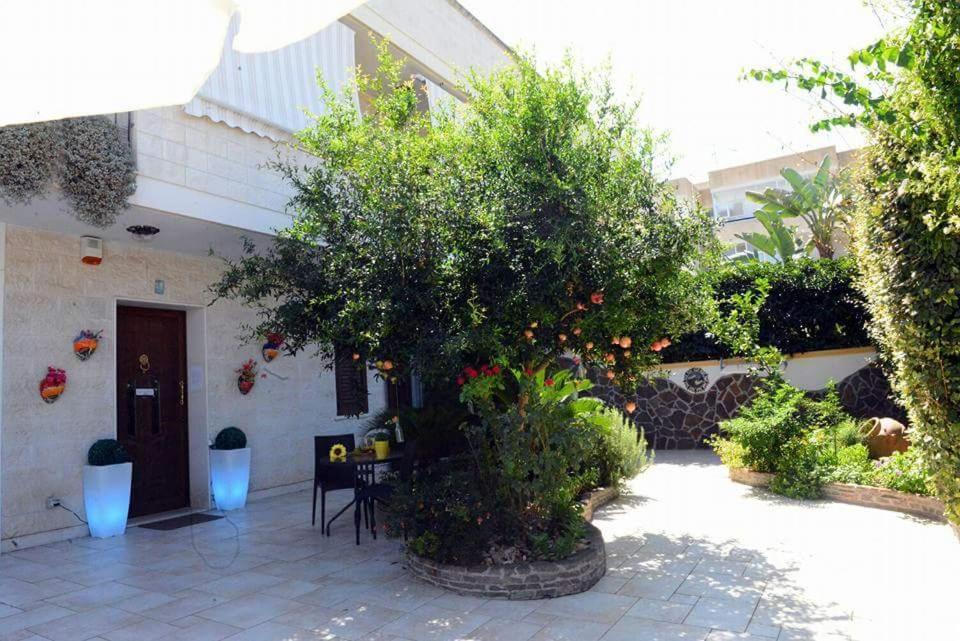 Profumo Di Mare B&B Gallipoli Eksteriør bilde